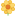 🌼